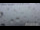Webcam in Oppenau, 13 km