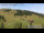 Webcam in Lienz, 3.6 mi away