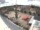 Webcam in Aurich, 9 mi away