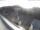 Webcam in Aurich, 23.3 km