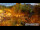 Webcam in Lofer, 5.5 km entfernt