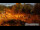 Webcam in Lofer, 1.1 mi away
