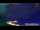 Webcam in Graun im Vinschgau, 4.5 mi away