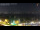 Webcam in Bardolino, 4.2 mi away