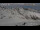 Webcam at the Hintereisferner, 1.7 mi away