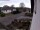 Webcam in Breckerfeld, 12.2 km entfernt