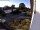 Webcam in Breckerfeld, 22.4 km