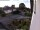 Webcam in Breckerfeld, 15.8 km