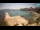 Webcam in Zavala (Hvar), 1.6 mi away