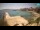 Webcam in Zavala (Hvar), 2.8 mi away