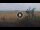 Webcam in Lower Zambezi National Park, 162 mi away