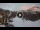 Webcam in Breuil-Cervinia, 3.8 km