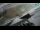 Webcam in Ogulin, 2.6 mi away