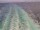 Webcam auf der Costa Diadema, 102.9 km entfernt