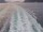 Webcam on the Costa Diadema, 37.3 mi away