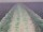 Webcam on the Costa Diadema, 40.9 mi away