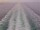 Webcam auf der Costa Diadema, 87.9 km entfernt