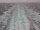 Webcam on the Costa Diadema, 24.5 mi away