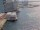 Webcam on the Costa Diadema, 40.5 mi away