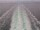 Webcam on the Costa Diadema, 36.4 mi away