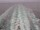 Webcam on the Costa Diadema, 51.4 mi away