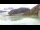 Webcam auf der MS Fridtjof Nansen, 1179.1 km entfernt