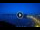 Webcam in Procida, 6.9 km