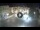 Webcam in Verona, 0.2 mi away