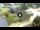 Webcam in Niedzica, 50.3 km