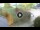 Webcam in Niedzica, 2.1 km entfernt
