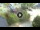 Webcam in Niedzica, 50.3 km