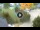 Webcam in Niedzica, 50.3 km