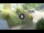 Webcam in Niedzica, 2.1 km