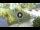 Webcam in Niedzica, 19.4 mi away
