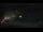 Webcam in Les Orres, 7.4 km