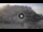 Webcam in Sperlonga, 12.1 km