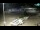 Webcam in Novalja (Pag), 0.1 mi away