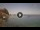 Webcam in Scilla, 16 km