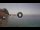 Webcam in Scilla, 15.6 km