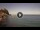 Webcam in Scilla, 16.8 km entfernt