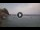 Webcam in Scilla, 0.4 km