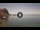 Webcam in Scilla, 16.9 mi away