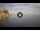 Webcam in Scilla, 6.4 mi away