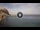 Webcam in Scilla, 16 km
