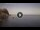 Webcam in Scilla, 16 km
