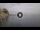 Webcam in Scilla, 6 mi away