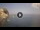 Webcam in Scilla, 4.8 km entfernt