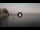 Webcam in Scilla, 15.8 km