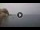 Webcam in Scilla, 27 km
