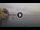Webcam in Scilla, 6 mi away